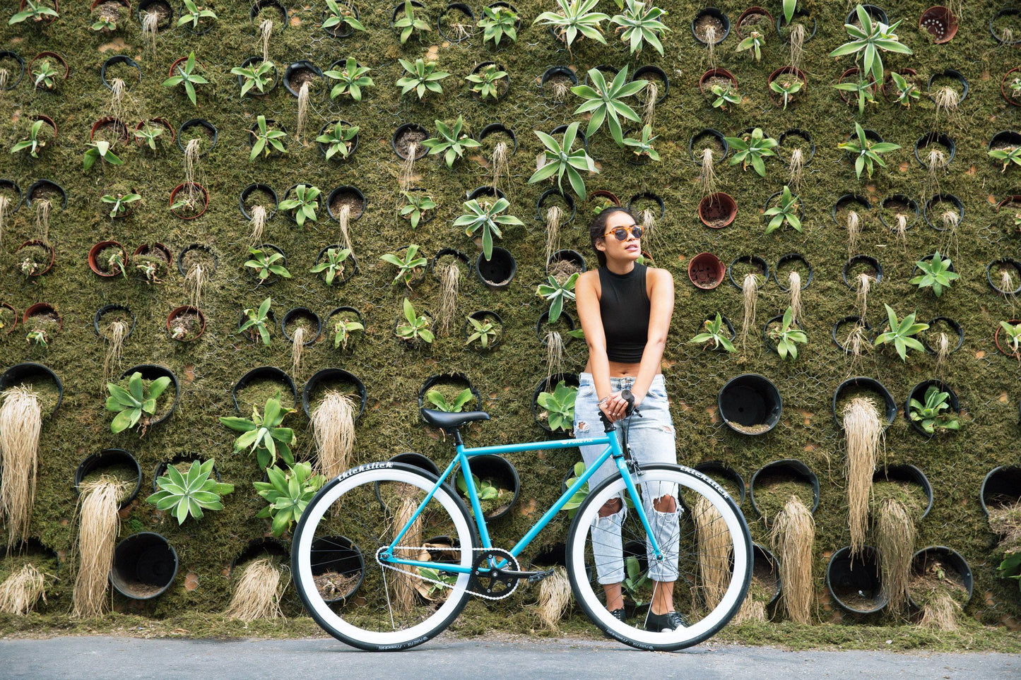 AlfaAlfaAlfaAlfaAlfaAlfaAlfaAlfaAlfaAlfaAlfaAlfaAlfaAlfa